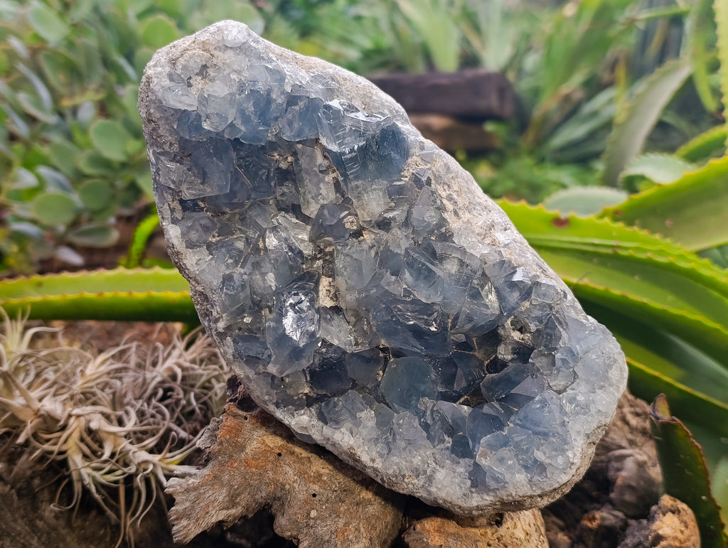 Natural Celestite Geode Specimen x 1 From Sakoany, Madagascar - Toprock Gemstones and Minerals 