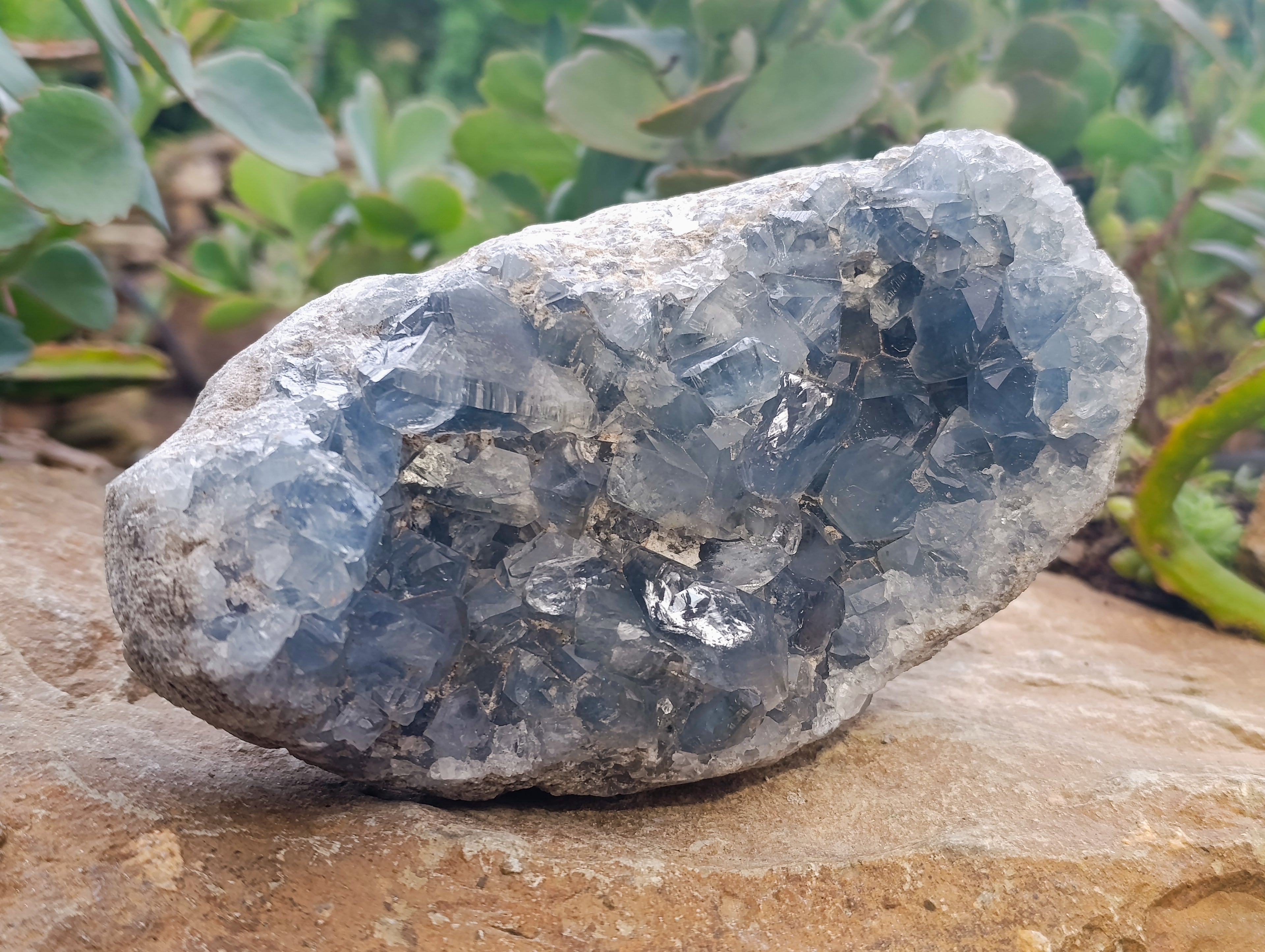 Natural Celestite Geode Specimen x 1 From Sakoany, Madagascar - Toprock Gemstones and Minerals 