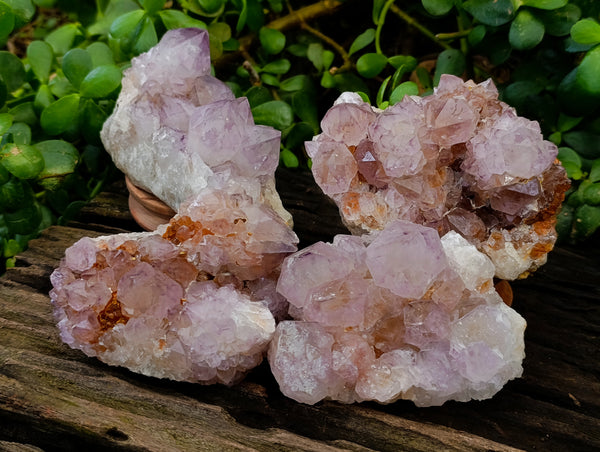 Natural Amethyst Spirit Quartz Clusters x 4 From Boekenhouthoek, South Africa