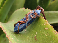 Polished Copper Wire Wrapped Sodalite Pendants x 6 From Namibia