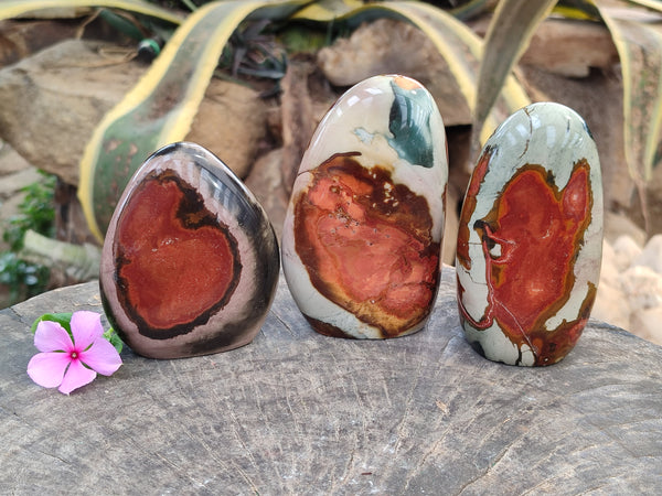 Polished Polychrome Jasper Standing Free Forms x 3 From Northwest Coast, Madagascar