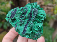 Natural Silky Malachite Specimens x 4 From Kasompe, Congo - Toprock Gemstones and Minerals 