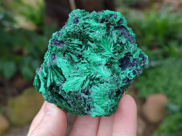 Natural Silky Malachite Specimens x 4 From Kasompe, Congo - Toprock Gemstones and Minerals 