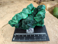 Natural Silky Malachite Specimens x 4 From Kasompe, Congo - Toprock Gemstones and Minerals 