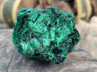 Natural Silky Malachite Specimens x 4 From Kasompe, Congo - Toprock Gemstones and Minerals 