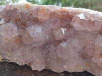 Natural Amethyst Spirit Quartz Cluster x 1 From Boekenhouthoek, South Africa