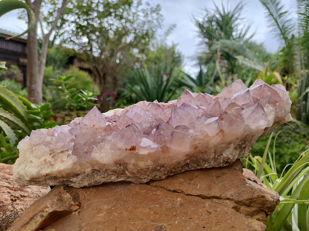 売れ筋アイテムラン Polychrome Polished Jasper From 3 x Forms Free Standing マジック：ザ・ギャザリング