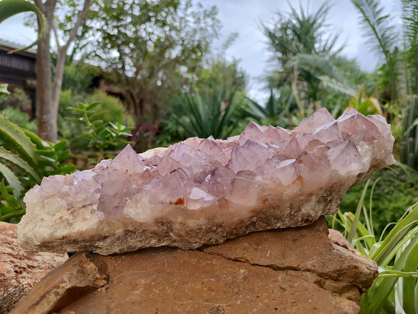 Natural Amethyst Spirit Quartz Cluster x 1 From Boekenhouthoek, South Africa