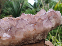 Natural Amethyst Spirit Quartz Cluster x 1 From Boekenhouthoek, South Africa
