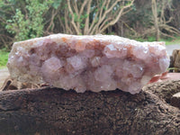 Natural Amethyst Spirit Quartz Cluster x 1 From Boekenhouthoek, South Africa