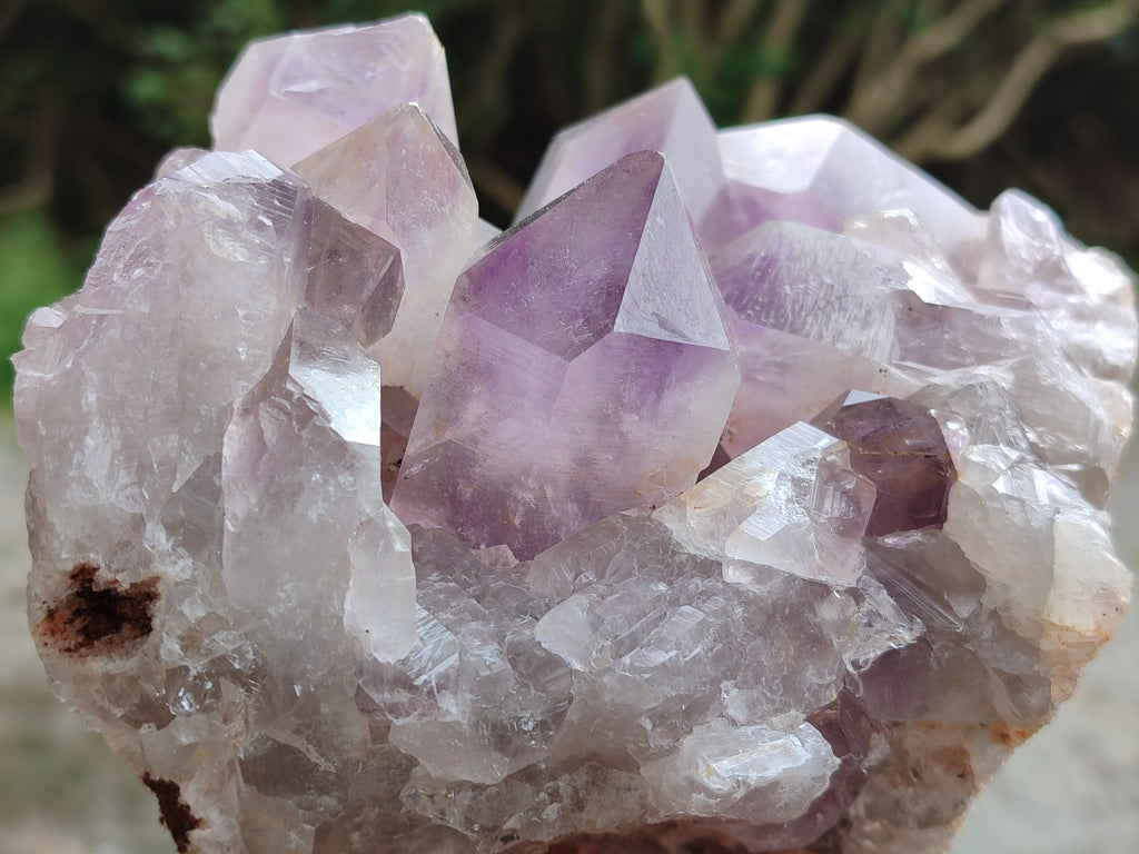 Natural Jacaranda Amethyst Quartz Cluster x 2 From Mumbwa, Zambia - Toprock Gemstones and Minerals 