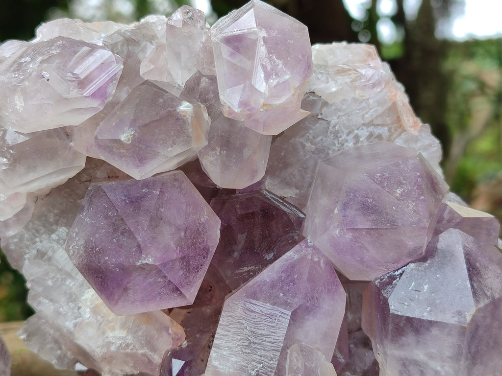 Natural Jacaranda Amethyst Quartz Cluster x 2 From Mumbwa, Zambia - Toprock Gemstones and Minerals 