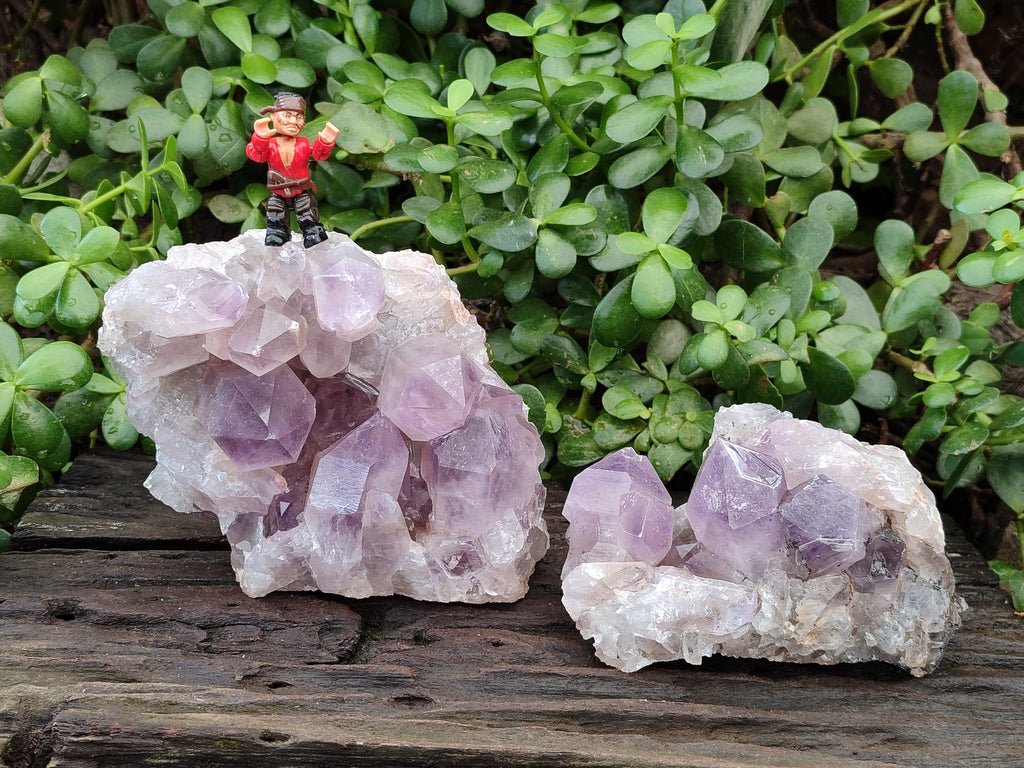 Natural Jacaranda Amethyst Quartz Cluster x 2 From Mumbwa, Zambia - Toprock Gemstones and Minerals 