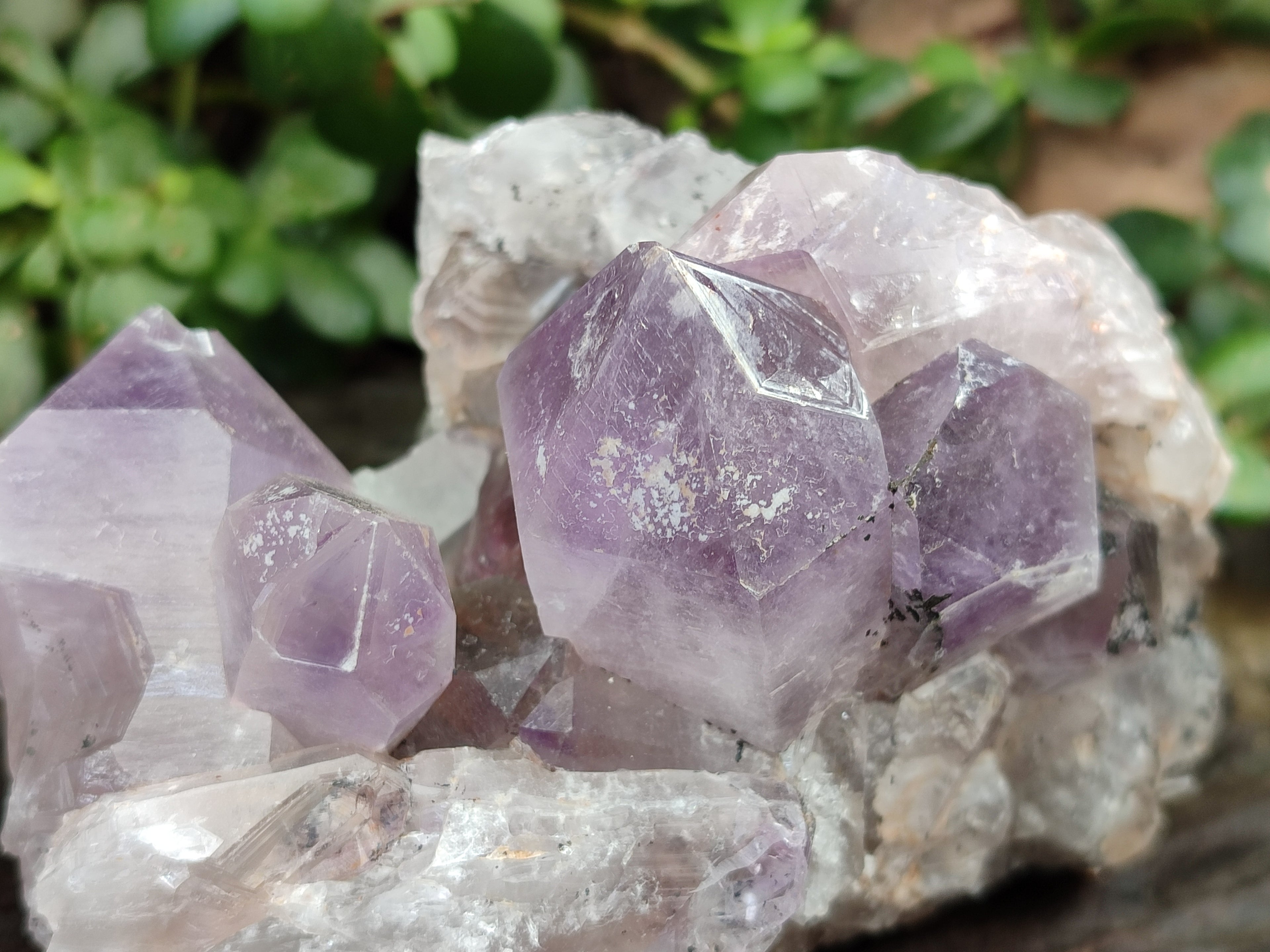 Natural Jacaranda Amethyst Quartz Cluster x 2 From Mumbwa, Zambia - Toprock Gemstones and Minerals 