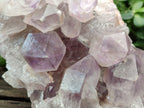 Natural Jacaranda Amethyst Quartz Cluster x 2 From Mumbwa, Zambia - Toprock Gemstones and Minerals 