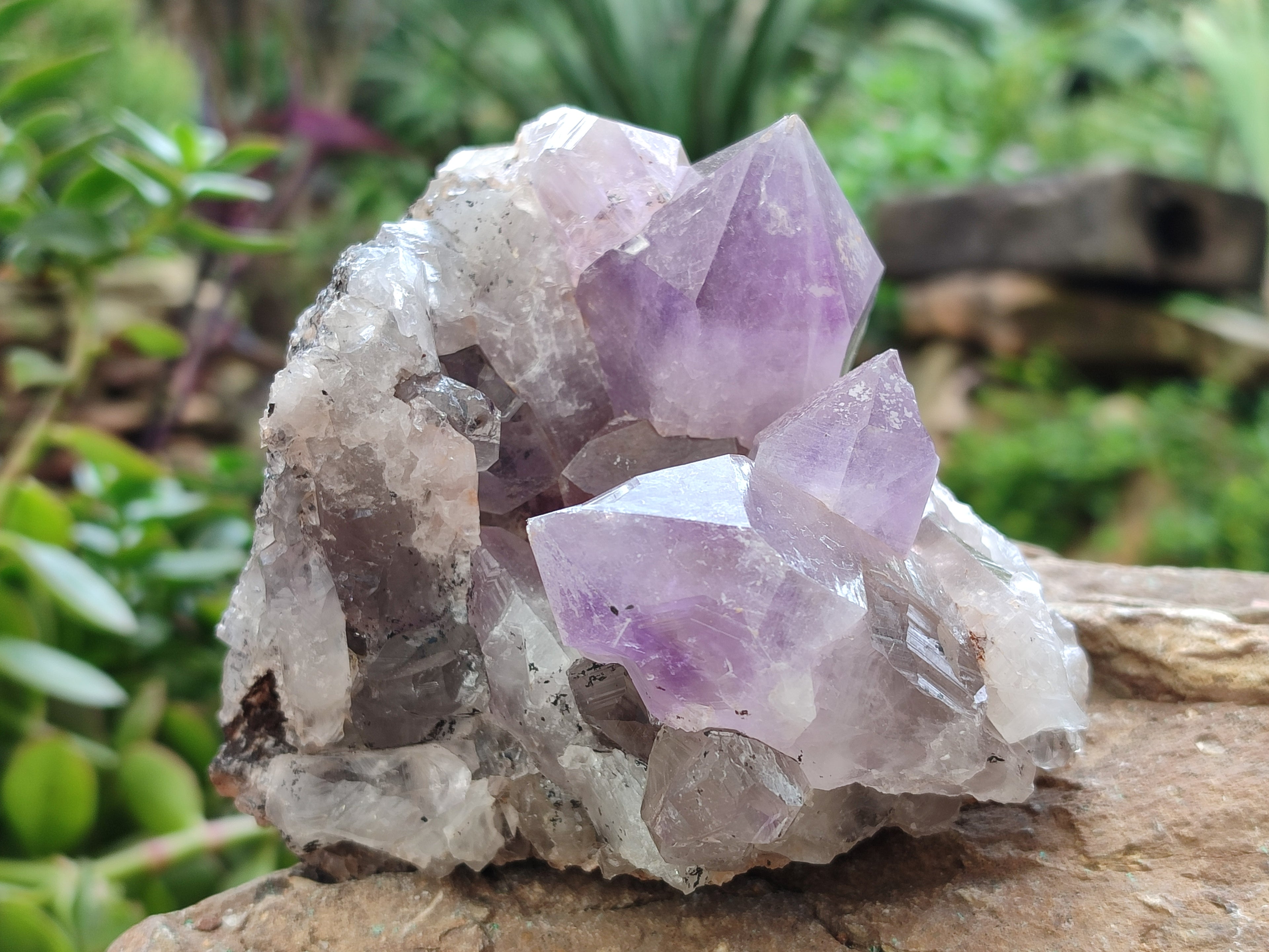 Natural Jacaranda Amethyst Quartz Cluster x 2 From Mumbwa, Zambia - Toprock Gemstones and Minerals 