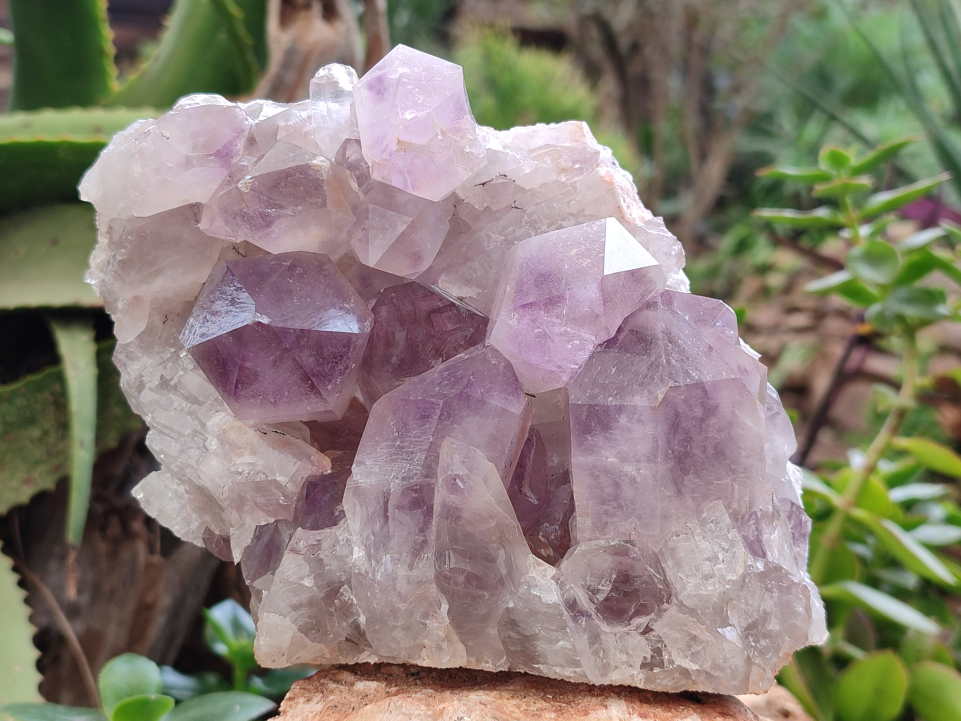 Natural Jacaranda Amethyst Quartz Cluster x 2 From Mumbwa, Zambia - Toprock Gemstones and Minerals 