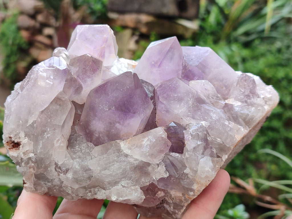 Natural Jacaranda Amethyst Quartz Cluster x 2 From Mumbwa, Zambia - Toprock Gemstones and Minerals 