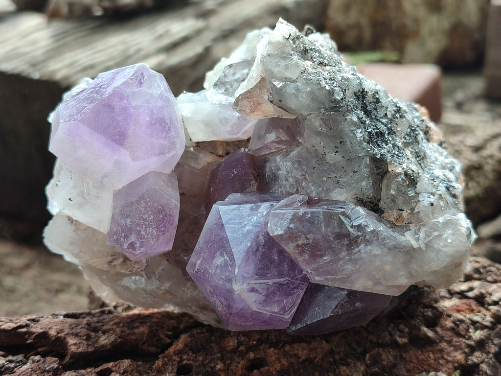 Natural Jacaranda Amethyst Quartz Cluster x 2 From Mumbwa, Zambia - Toprock Gemstones and Minerals 
