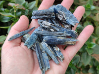 Natural Kyanite Crystals x 2.02 Kg Lot From Karoi, Zimbabwe