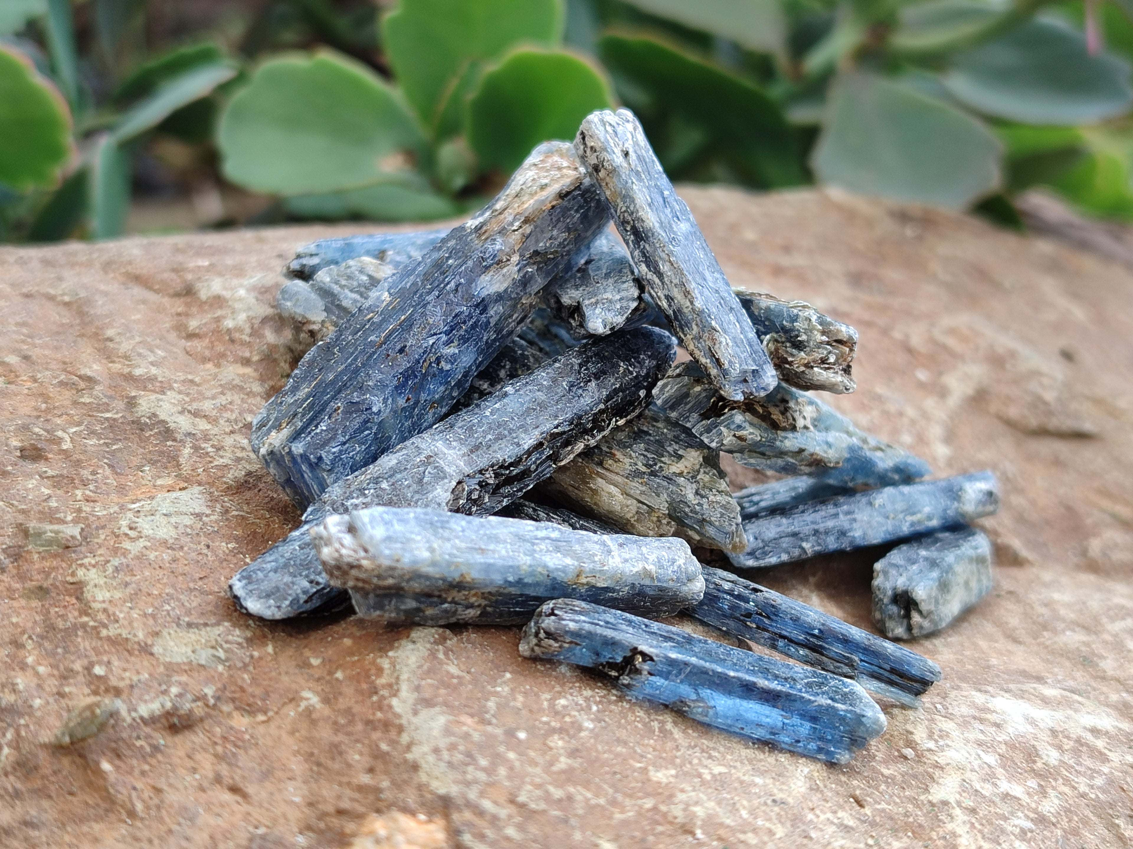 Natural Kyanite Crystals x 2.02 Kg Lot From Karoi, Zimbabwe - Toprock Gemstones and Minerals 