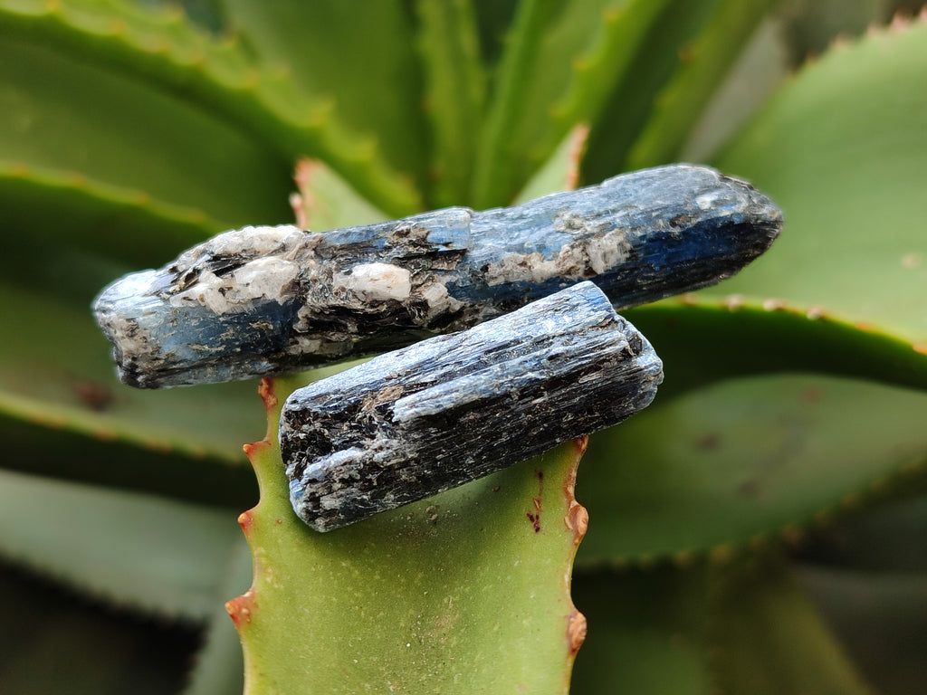Natural Kyanite Crystals x 2.02 Kg Lot From Karoi, Zimbabwe - Toprock Gemstones and Minerals 