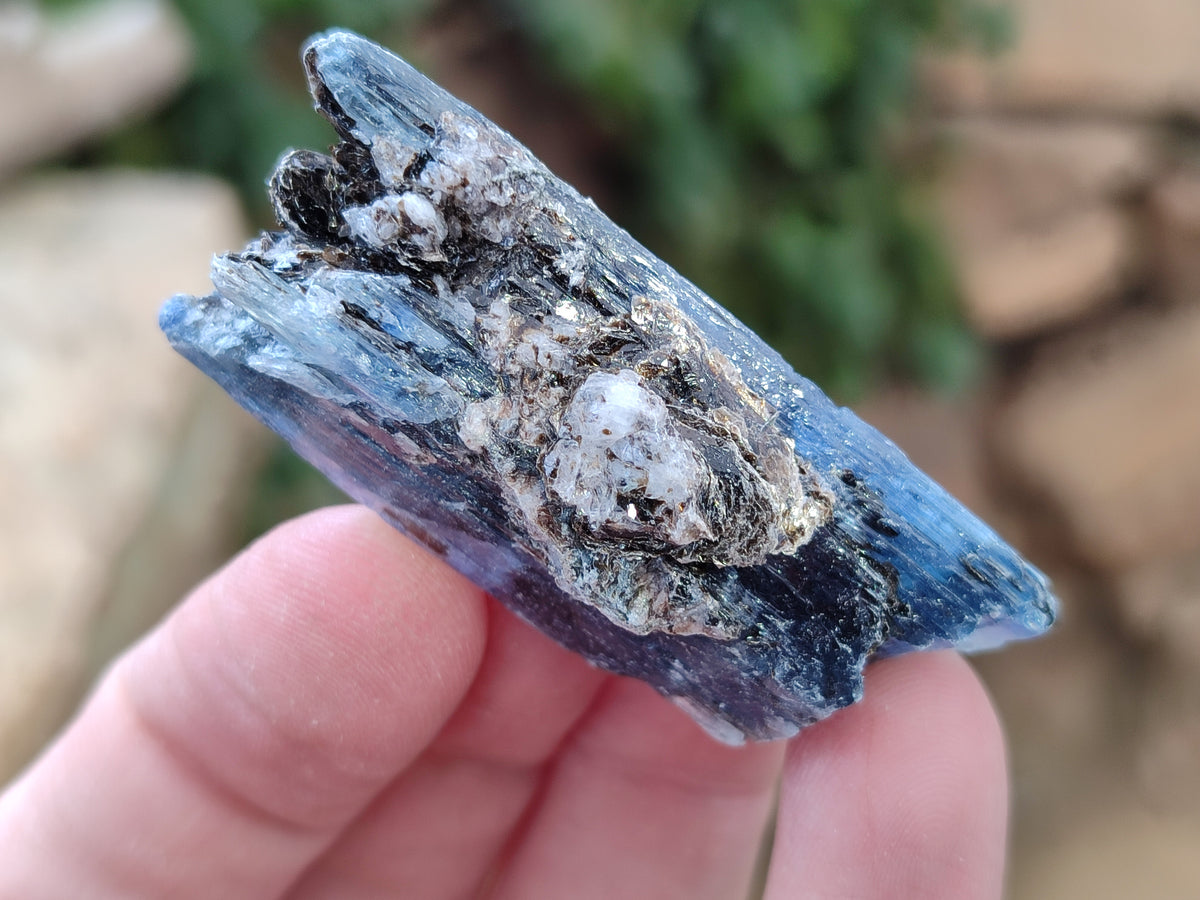Natural Kyanite Crystals x 2.02 Kg Lot From Karoi, Zimbabwe - Toprock Gemstones and Minerals 