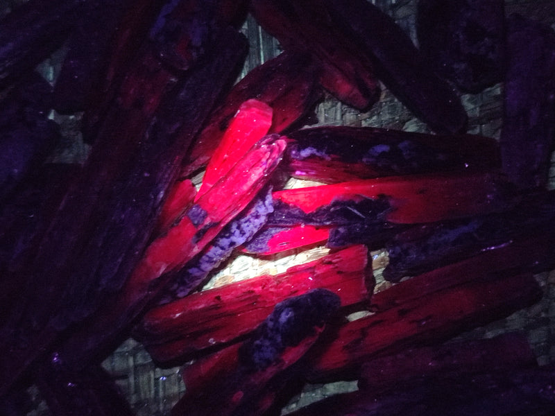 files/163431_20.jpg