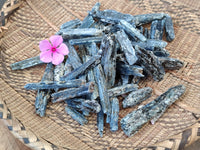 Natural Kyanite Crystals x 2.02 Kg Lot From Karoi, Zimbabwe