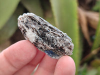 Natural Kyanite Crystals x 2.02 Kg Lot From Karoi, Zimbabwe