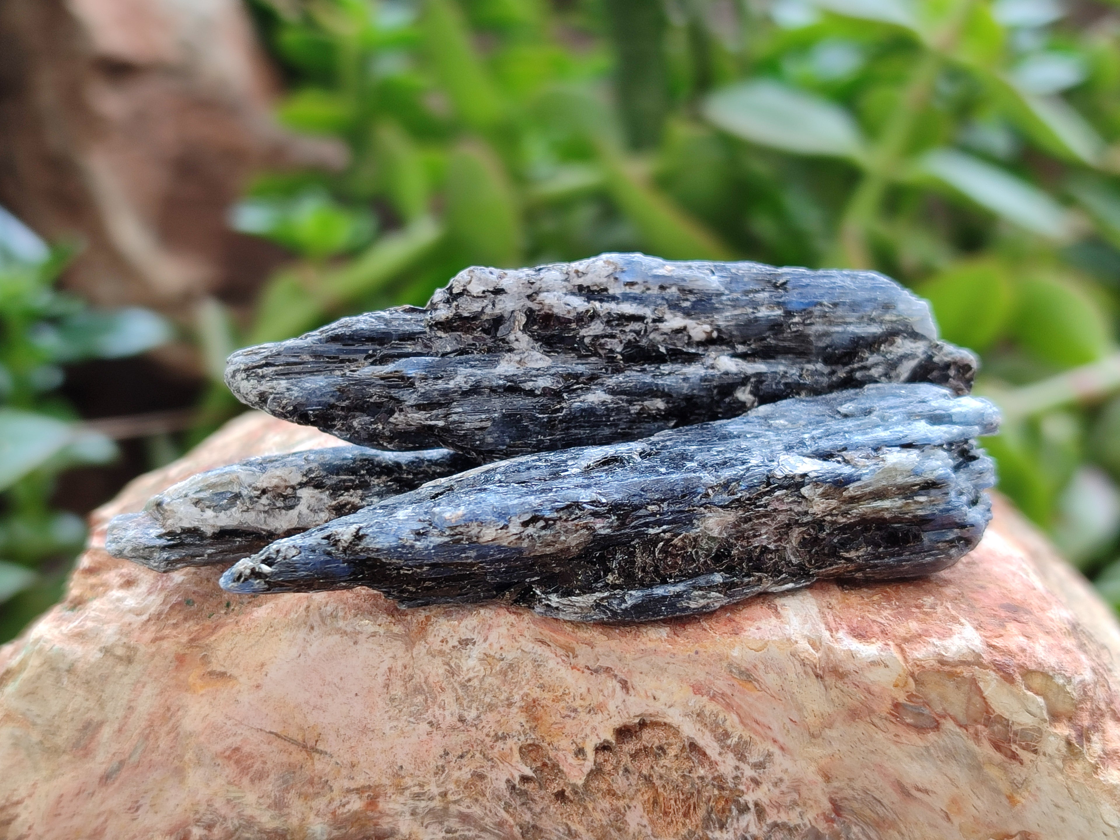 Natural Kyanite Crystals x 2.02 Kg Lot From Karoi, Zimbabwe - Toprock Gemstones and Minerals 
