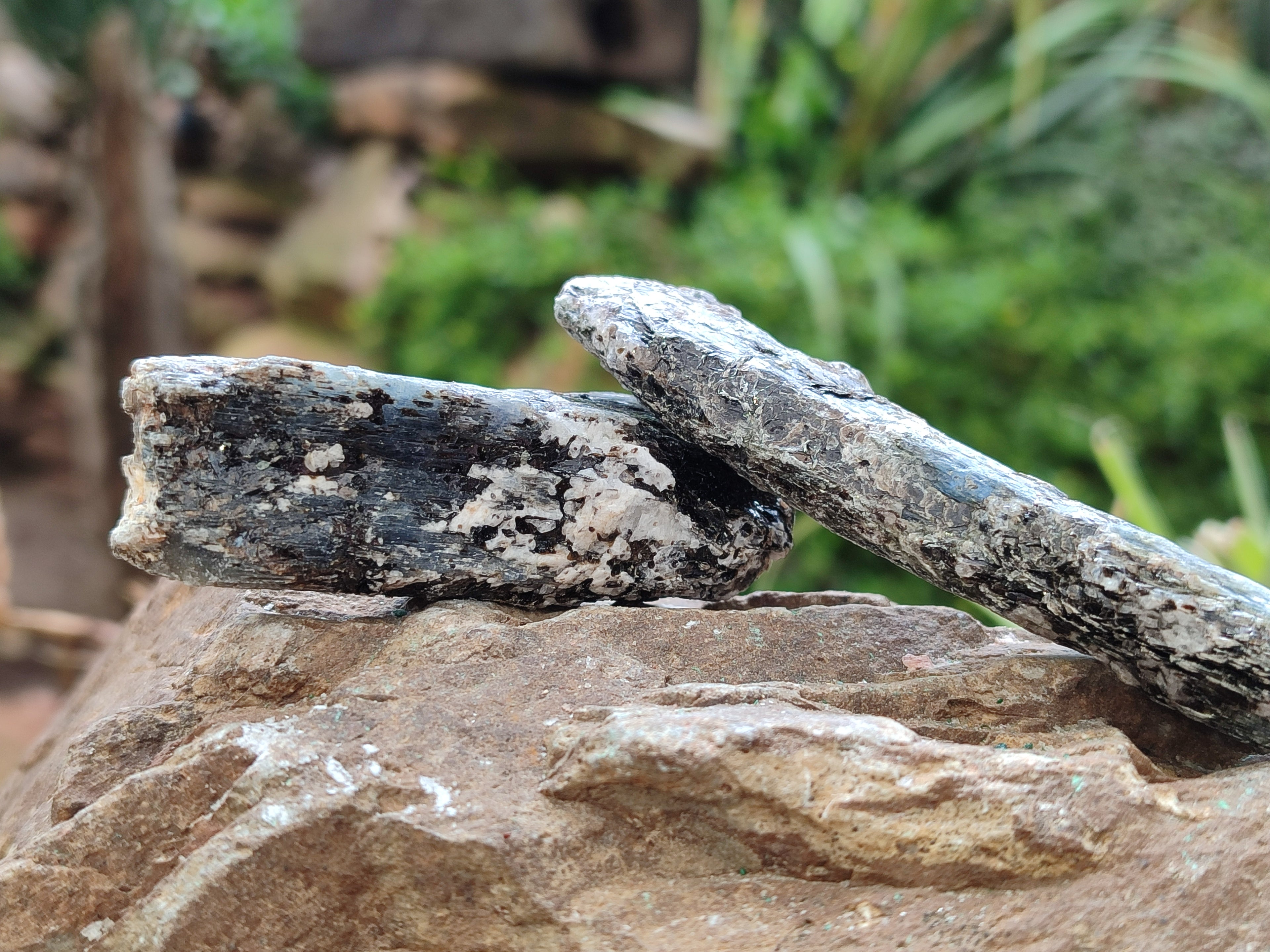 Natural Kyanite Crystals x 2.02 Kg Lot From Karoi, Zimbabwe - Toprock Gemstones and Minerals 