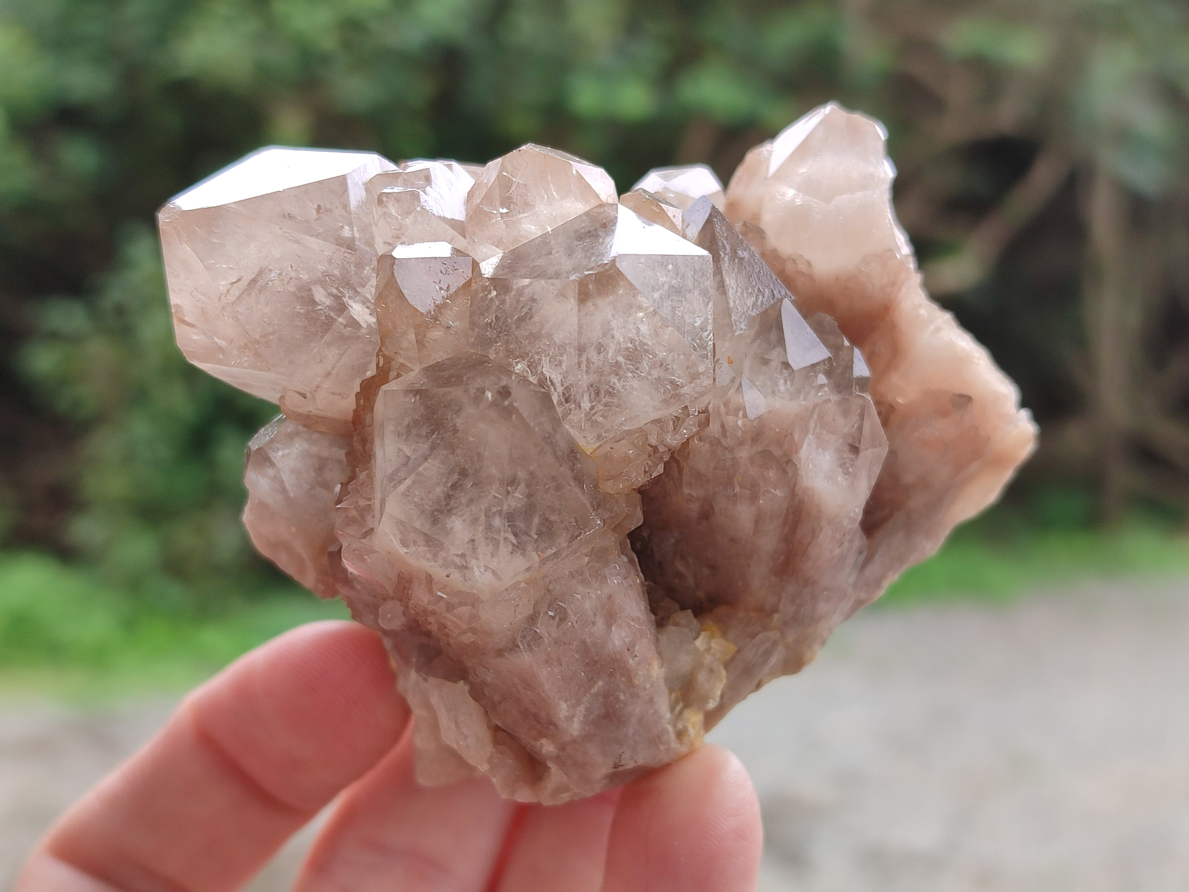 Natural Smokey Phantom Quartz Clusters x 6 From Luena, Congo - Toprock Gemstones and Minerals 