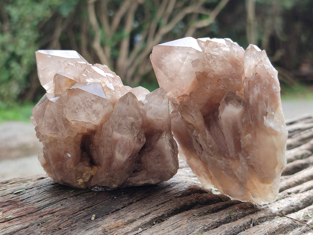 Natural Smokey Phantom Quartz Clusters x 6 From Luena, Congo - Toprock Gemstones and Minerals 