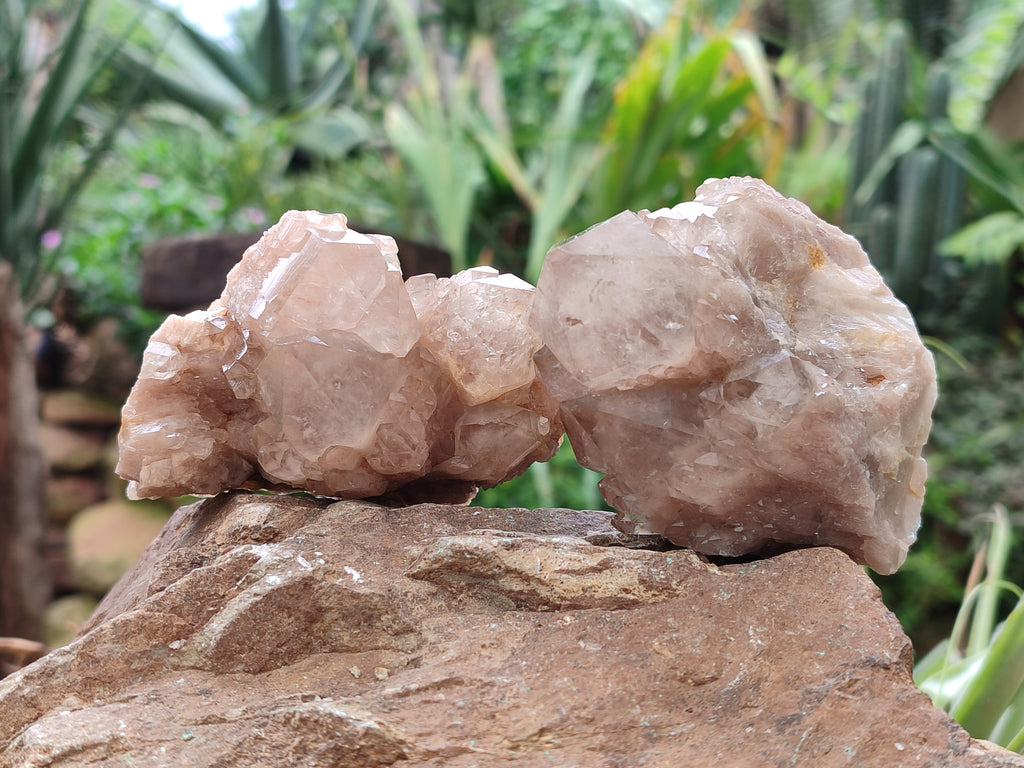 Natural Smokey Phantom Quartz Clusters x 6 From Luena, Congo - Toprock Gemstones and Minerals 