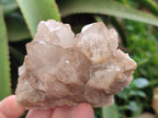 Natural Smokey Phantom Quartz Clusters x 6 From Luena, Congo - Toprock Gemstones and Minerals 