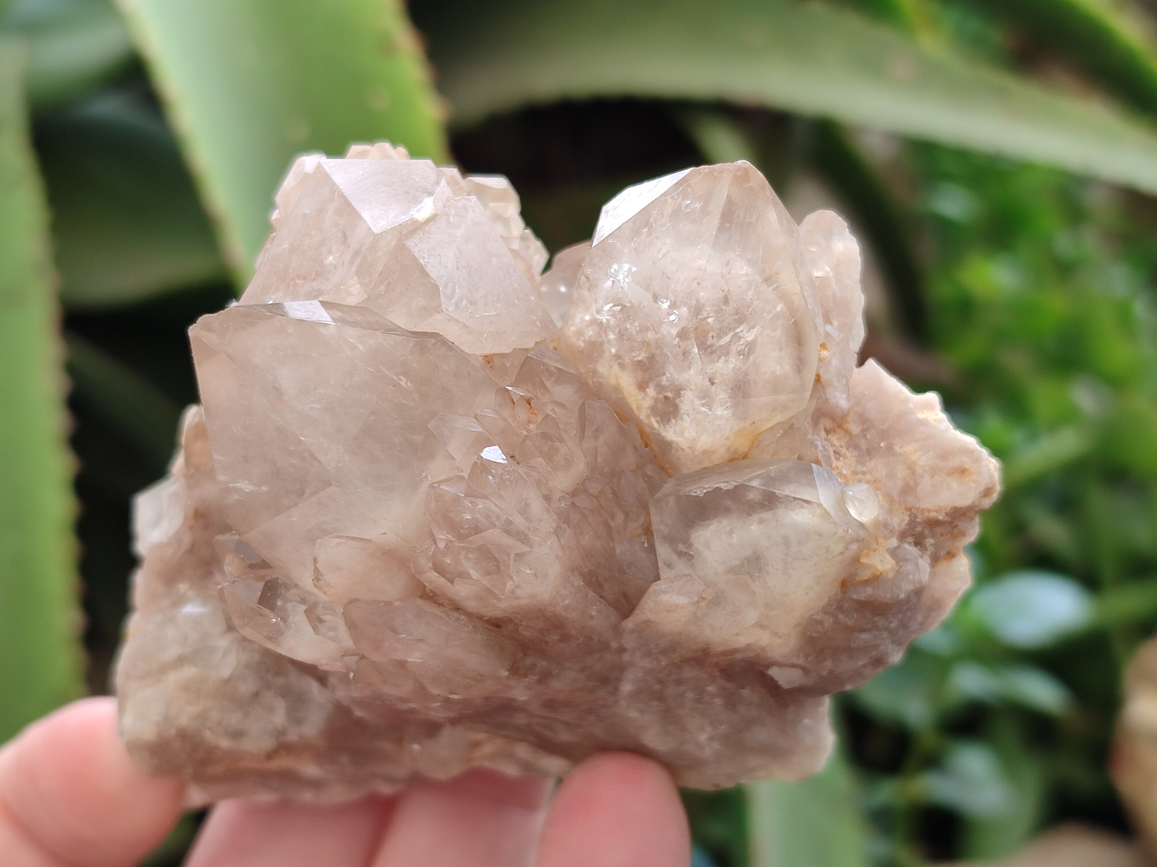 Natural Smokey Phantom Quartz Clusters x 6 From Luena, Congo - Toprock Gemstones and Minerals 