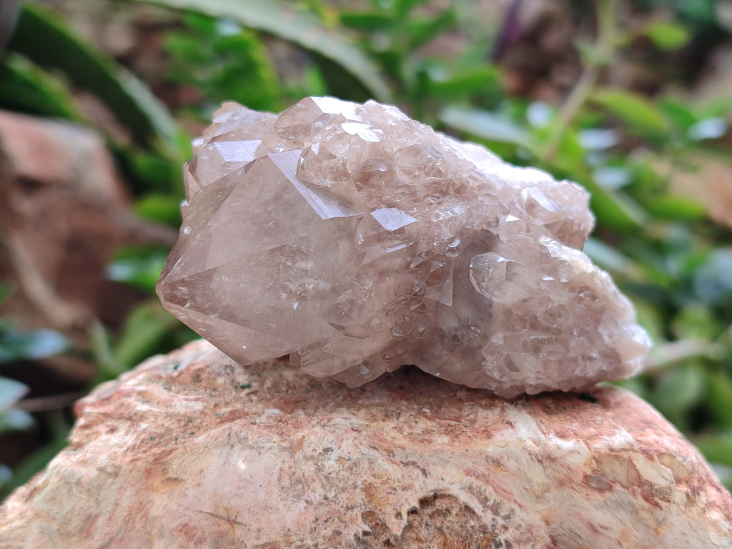 Natural Smokey Phantom Quartz Clusters x 6 From Luena, Congo - Toprock Gemstones and Minerals 