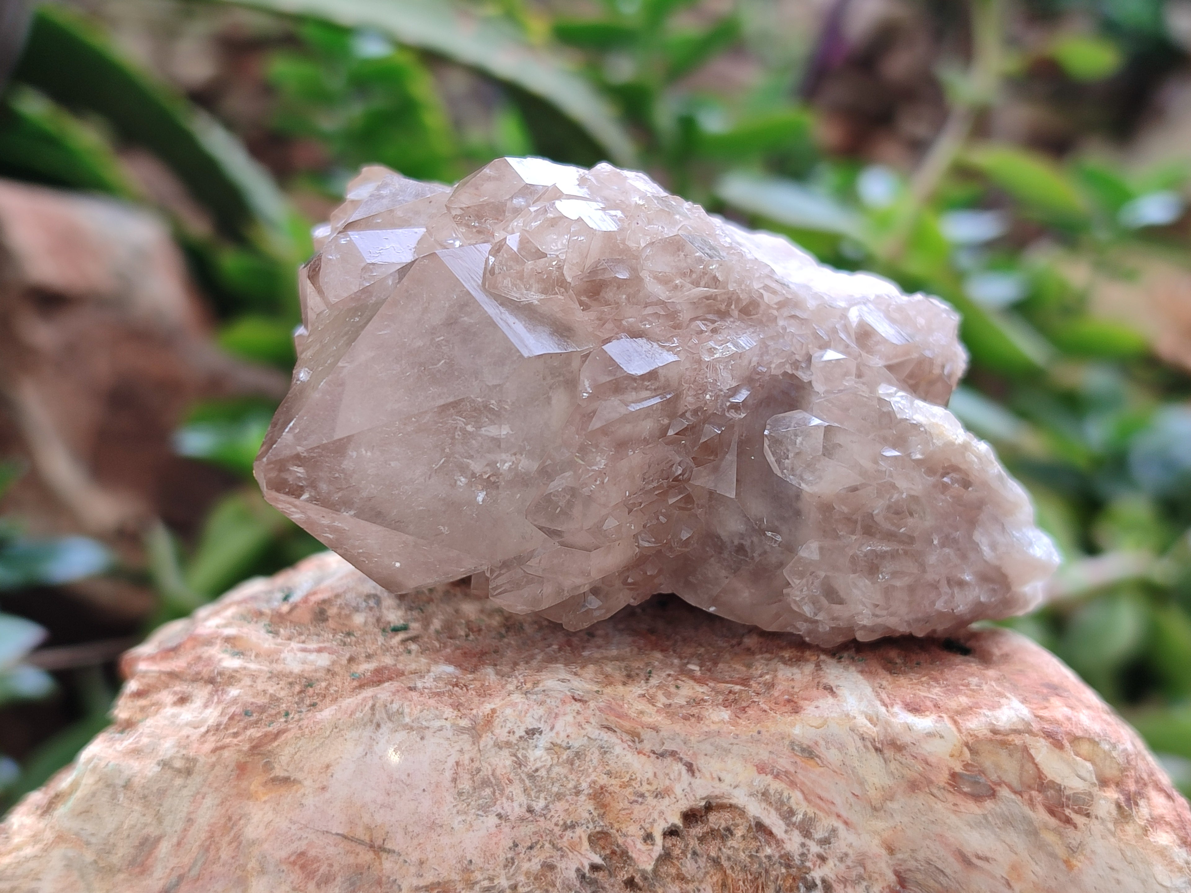 Natural Smokey Phantom Quartz Clusters x 6 From Luena, Congo - Toprock Gemstones and Minerals 