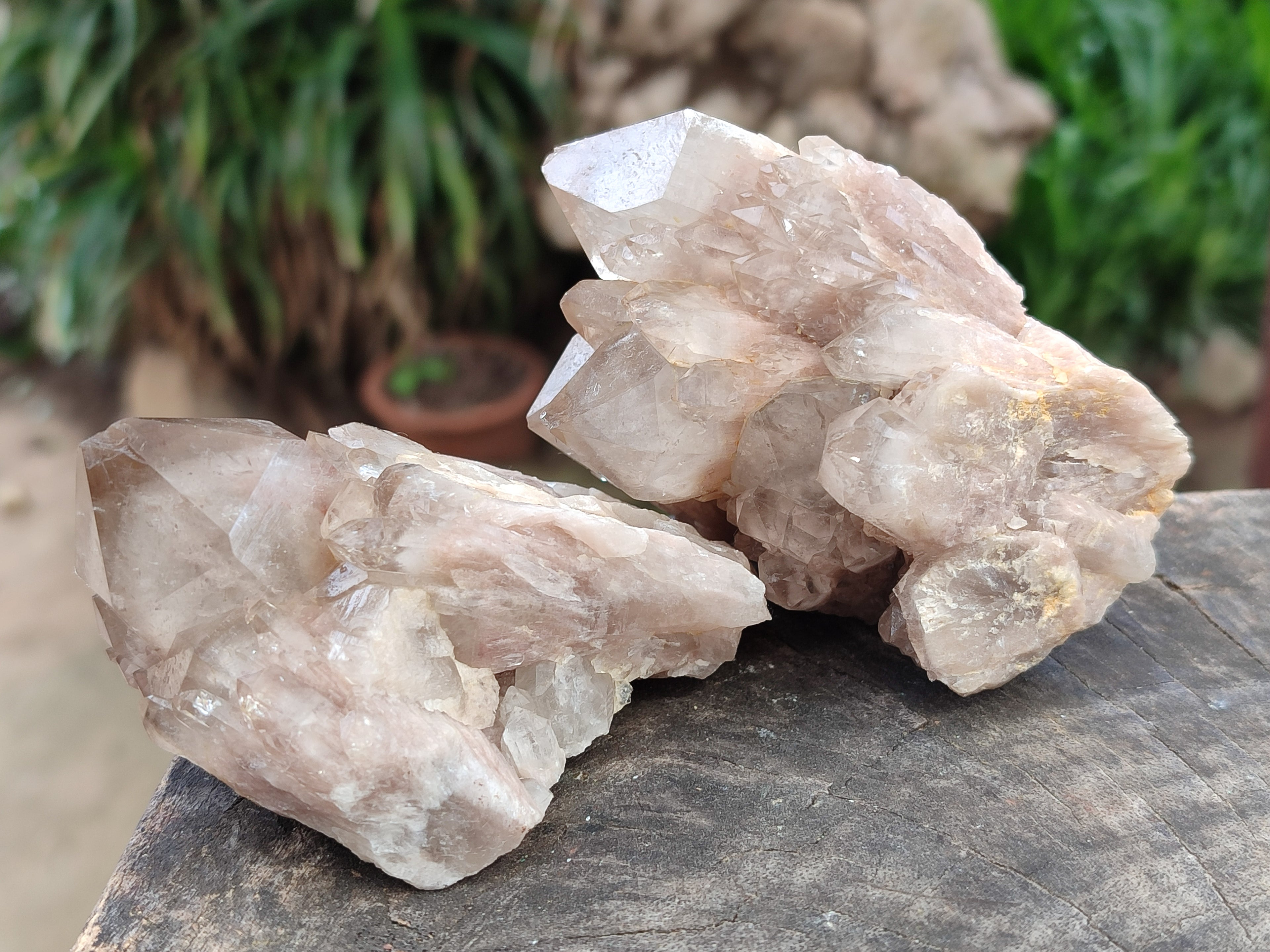 Natural Smokey Phantom Quartz Clusters x 6 From Luena, Congo - Toprock Gemstones and Minerals 