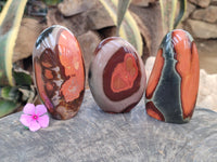 Polished Polychrome Jasper Standing Free Forms x 3 From Northwest Coast, Madagascar