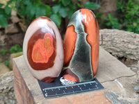Polished Polychrome Jasper Standing Free Forms x 3 From Northwest Coast, Madagascar