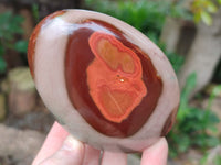 Polished Polychrome Jasper Standing Free Forms x 3 From Northwest Coast, Madagascar