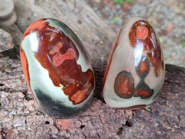 Polished Polychrome Jasper Standing Free Forms x 3 From Northwest Coast, Madagascar