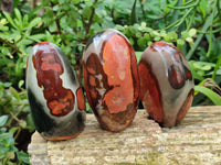 Polished Polychrome Jasper Standing Free Forms x 3 From Northwest Coast, Madagascar