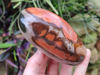 Polished Polychrome Jasper Standing Free Forms x 3 From Northwest Coast, Madagascar