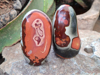 Polished Polychrome Jasper Standing Free Forms x 3 From Northwest Coast, Madagascar