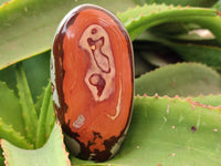 Polished Polychrome Jasper Standing Free Forms x 3 From Northwest Coast, Madagascar