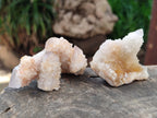 Natural Mixed Spirit Quartz Clusters x 50 From Boekenhouthoek, South Africa - Toprock Gemstones and Minerals 