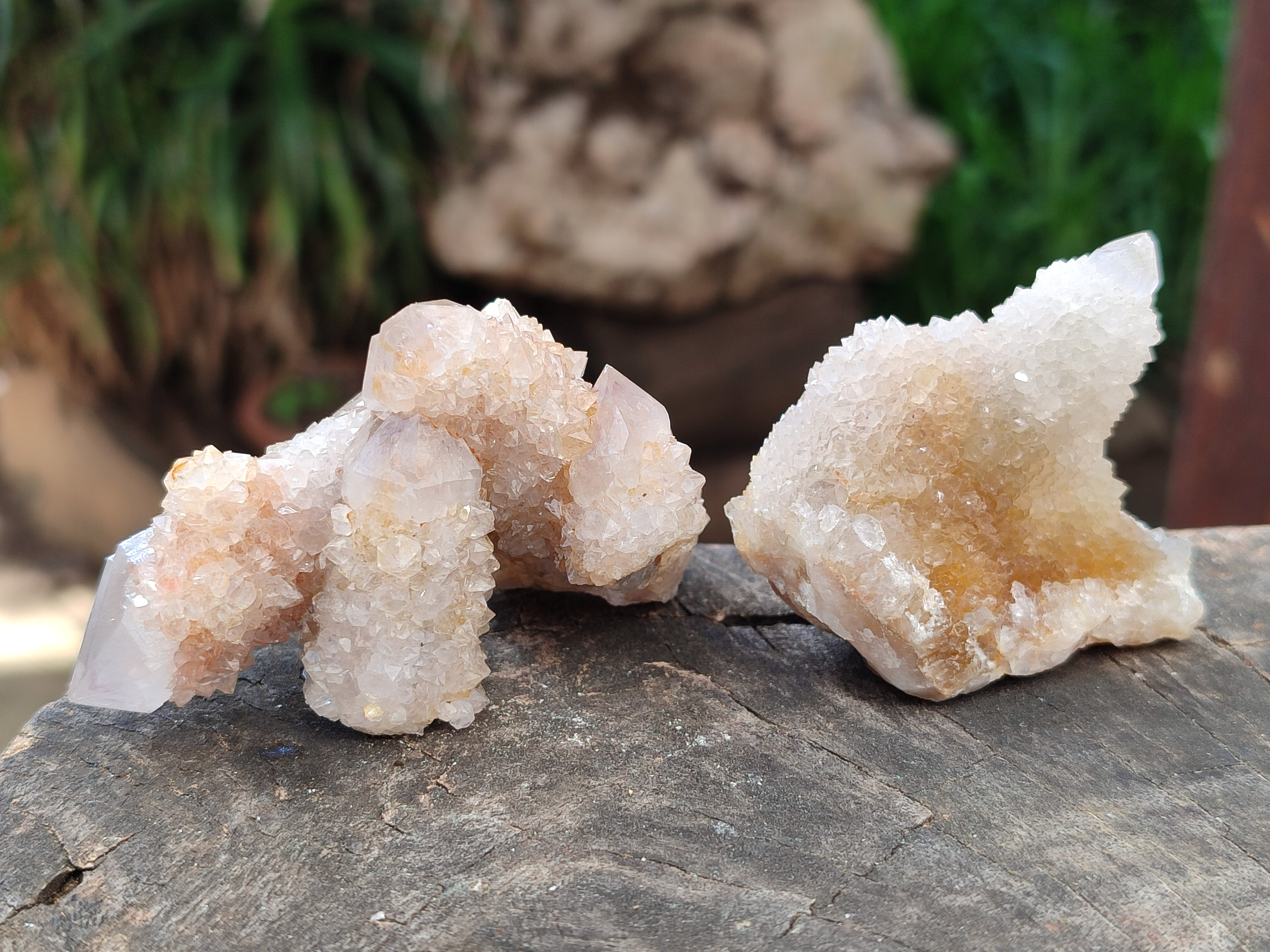 Natural Mixed Spirit Quartz Clusters x 50 From Boekenhouthoek, South Africa - Toprock Gemstones and Minerals 